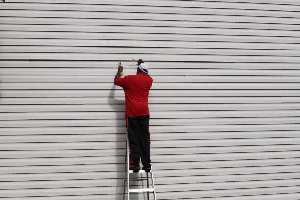 Best Siding Replacement  in Mineralwells, WV